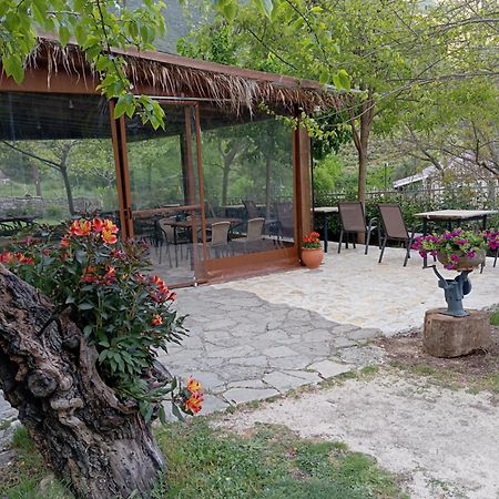 Xenonas Souliou Hotel Samonída Exterior photo