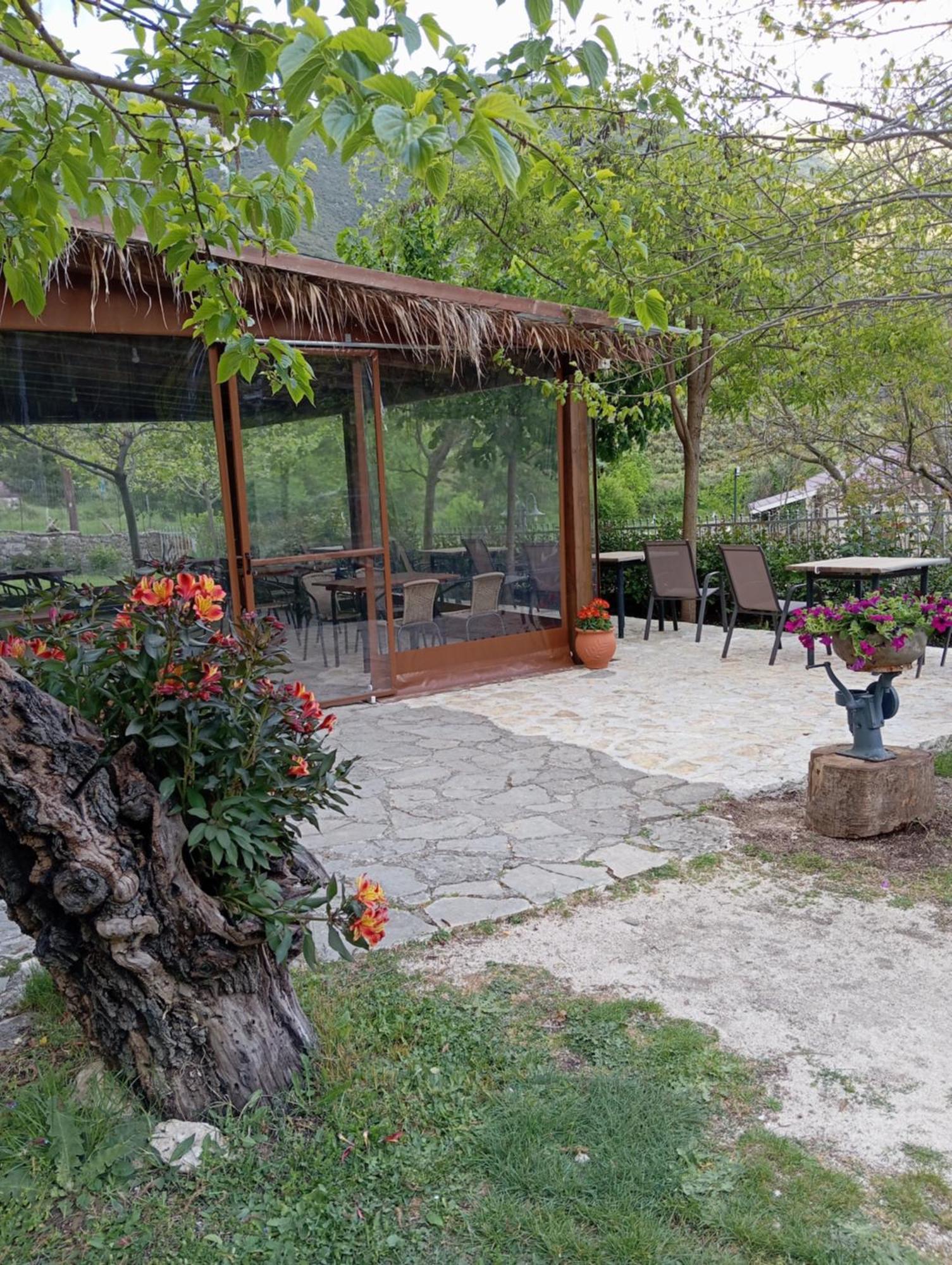 Xenonas Souliou Hotel Samonída Exterior photo